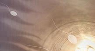 易試管助孕_國內試管醫(yī)院排名？2024年試管嬰兒醫(yī)院最新排名？