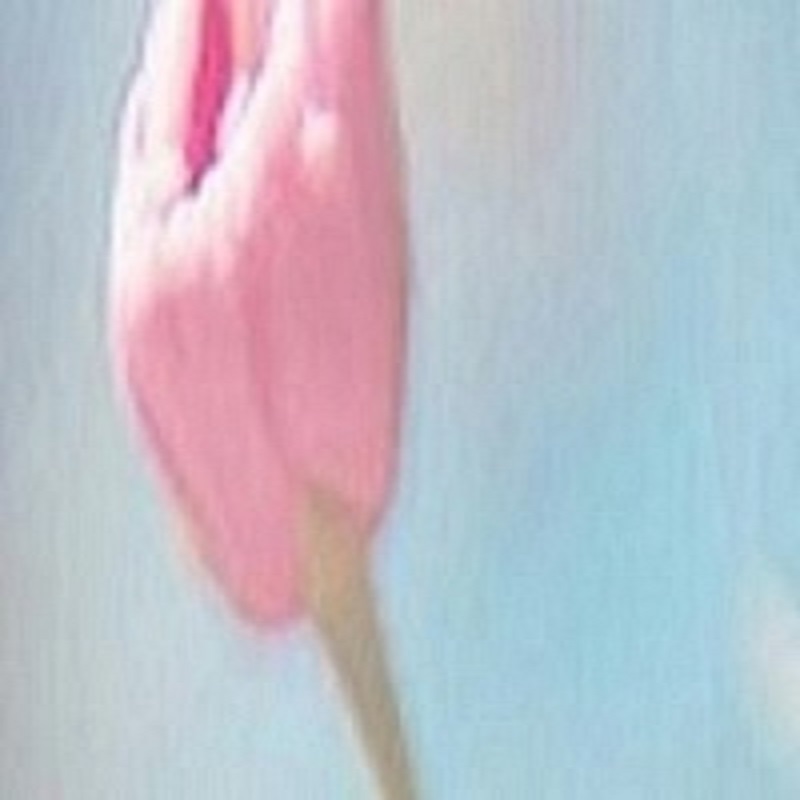 標(biāo)題信息！_2024泰國(guó)試管嬰兒 2024泰國(guó)碧雅威國(guó)際醫(yī)院