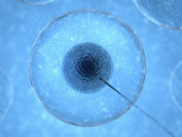 易試管助孕_衡陽(yáng)10家優(yōu)秀第三代試管嬰兒醫(yī)院排名 有哪些誤區(qū)？