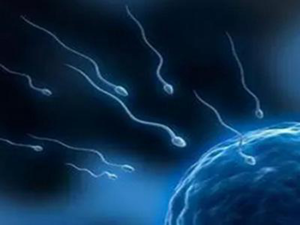 易試管助孕_廣州哪里可以做四代、三代試管嬰兒？廣州哪家醫(yī)院做三代試管嬰兒比較好？