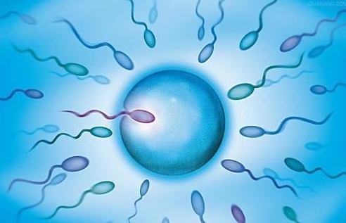 甘肅做三代試管助孕比較好的公司匯總，2025年排名榜名單參考