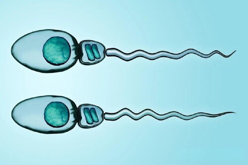 河南2025年Top5助孕公司公布,這幾家助孕機構入選