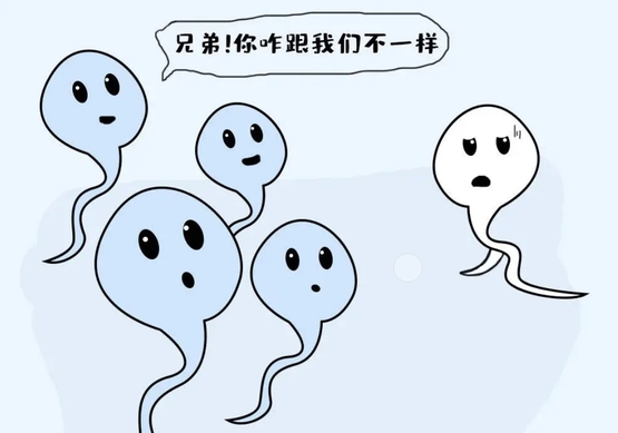 河南正規(guī)助孕公司哪里較好？這3家機構都可選擇