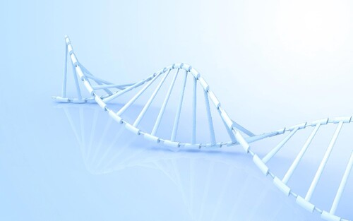 山東助孕機(jī)構(gòu)哪個(gè)好？過(guò)來(lái)人其強(qiáng)力推薦山東這五家助孕公司