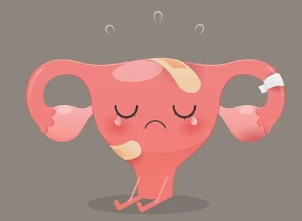 甘肅試管成功率高的助孕機構靠譜嗎？結果顯而易見