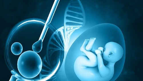 遼寧正規(guī)助孕機(jī)構(gòu)品牌推薦：遼寧十大專業(yè)助孕公司一覽