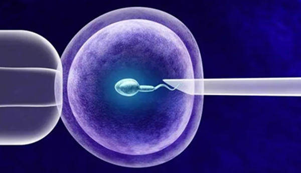 做試管嬰兒從開始到懷上需要多久？