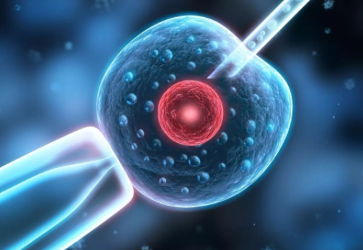 重慶做試管嬰兒**幾率大嗎？