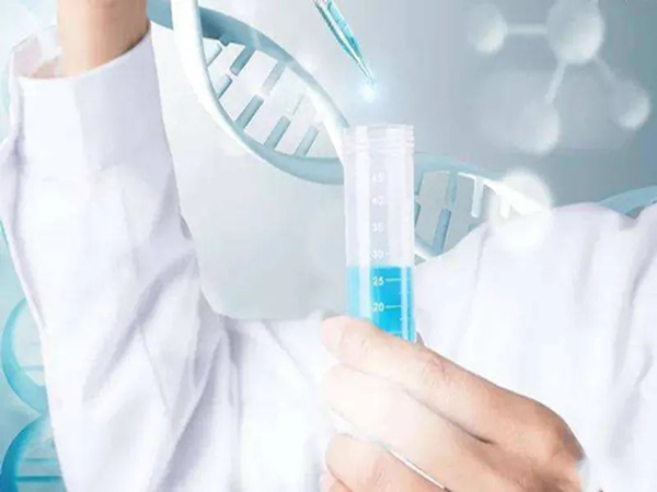 做試管嬰兒染色體檢查需要多少錢？