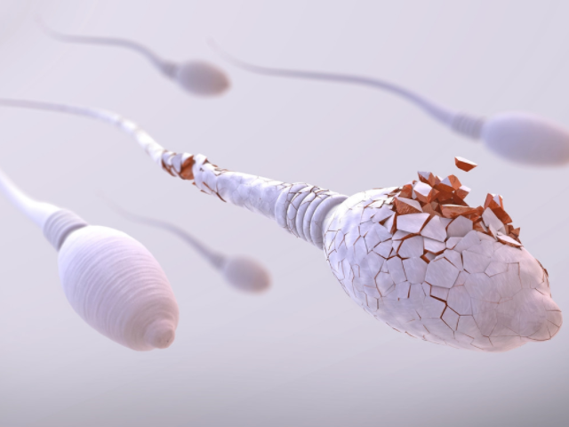 性禁欲時(shí)間過短不利精子質(zhì)量提升