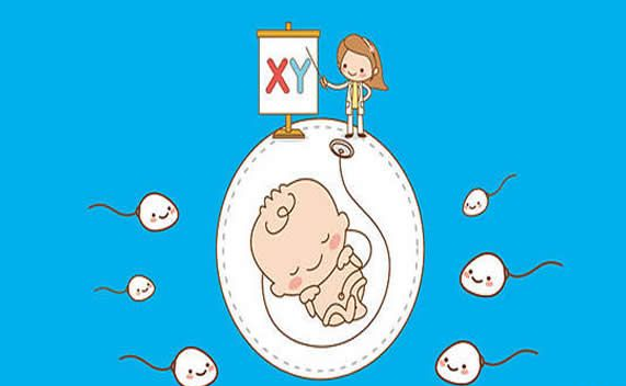 如何備孕更容易**孩，采取以下措施增加幾率