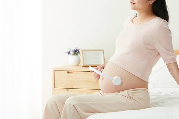 胎兒性別由染色體決定