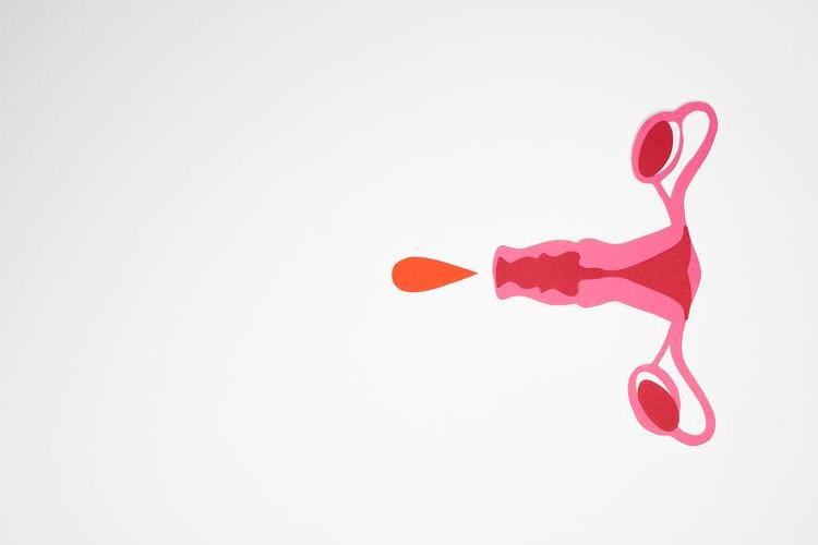 引起排卵障礙的原因有哪些？如何治療？