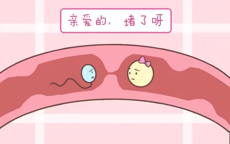 排卵有障礙，一定適合做促排卵？