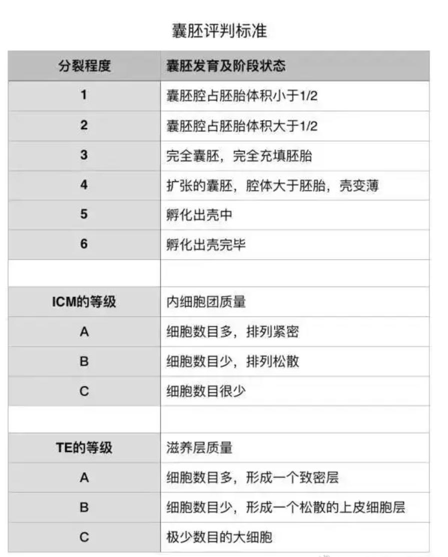 怎么知道自己的胚胎質(zhì)量是好還是不好？