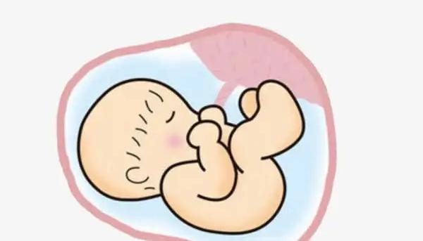 怎么知道自己的胚胎質(zhì)量是好還是不好？