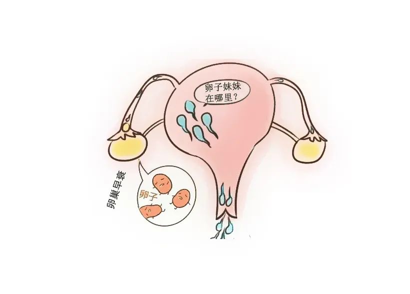 卵巢功能下降了還能生孩子嗎