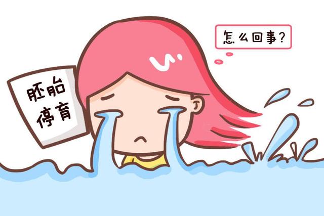 胚胎停育一般發(fā)生在什么時候？