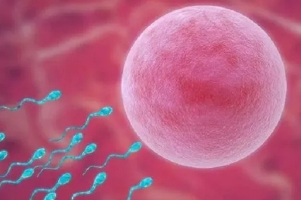 如何自助去烏克蘭做試管嬰兒？