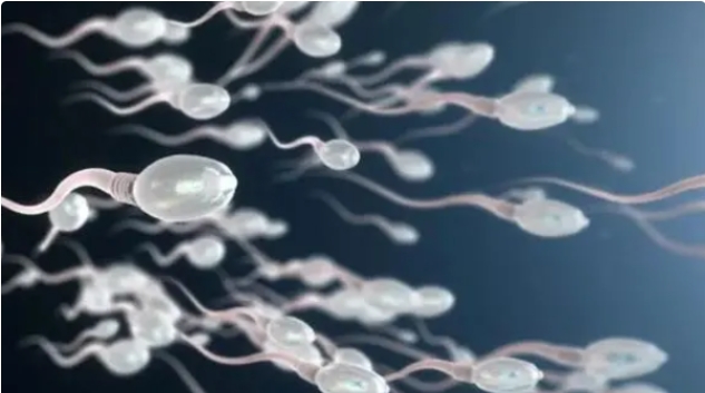 高齡做試管嬰兒一般會(huì)有哪些風(fēng)險(xiǎn)問題？