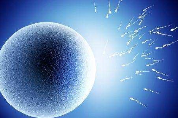 影響精子質(zhì)量的因素有哪些？