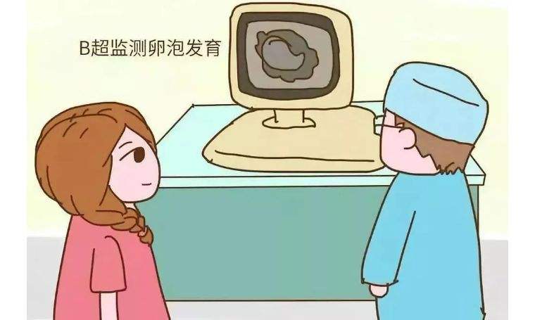 做好卵泡監(jiān)測(cè)，備孕更容易成功！