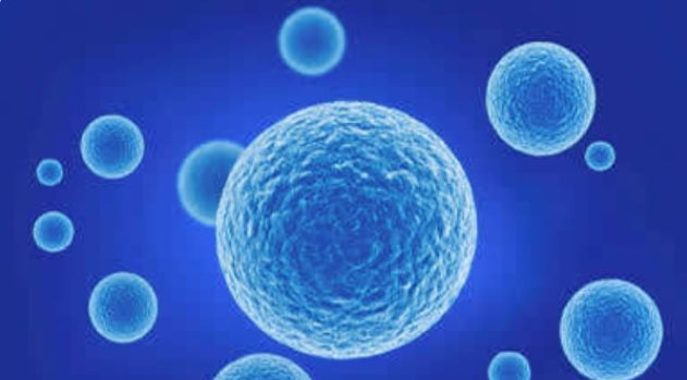 高齡做試管嬰兒選一代好還是選三代技術(shù)好？