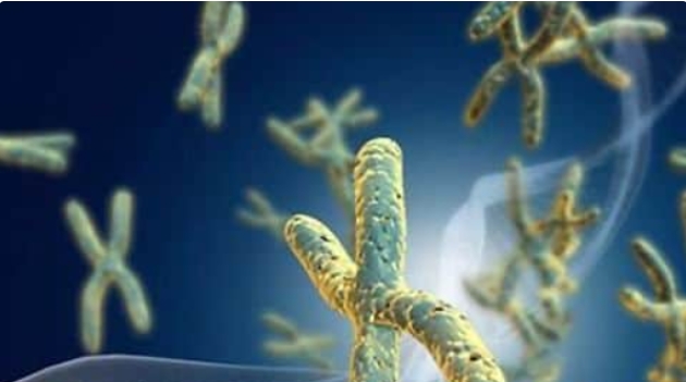  高齡準(zhǔn)備做試管嬰兒需要特別注意哪些地方？