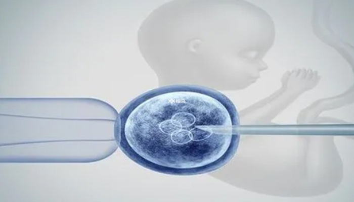 泰國試管禁止**