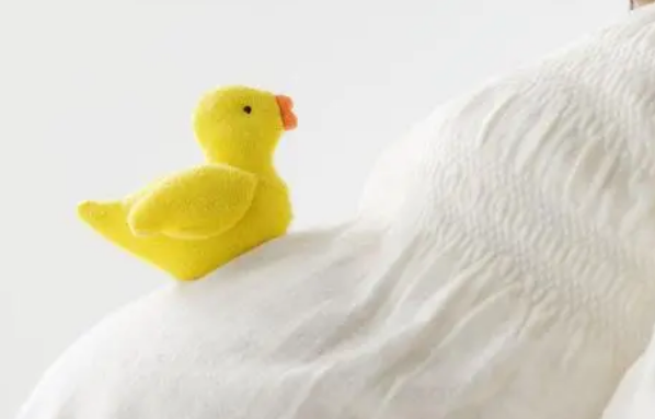 孕婦懷上貴子的7個(gè)征兆，出現(xiàn)這些現(xiàn)象說(shuō)明孩子是“福報(bào)”