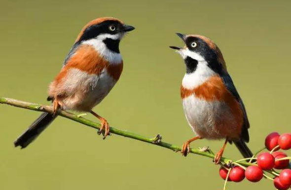 孕婦懷上貴子的7個(gè)征兆，出現(xiàn)這些現(xiàn)象說(shuō)明孩子是“福報(bào)”