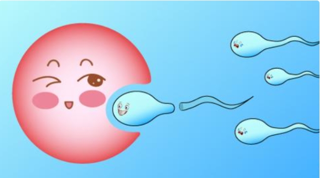 高齡做試管嬰兒怎么提高著床率？