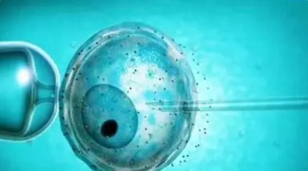 在私立做試管嬰兒費用貴不貴？和公立醫(yī)院區(qū)別大嗎？