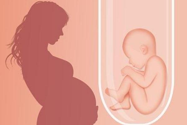 試管嬰兒需要什么條件才可以做 試管嬰兒可以選擇**嗎