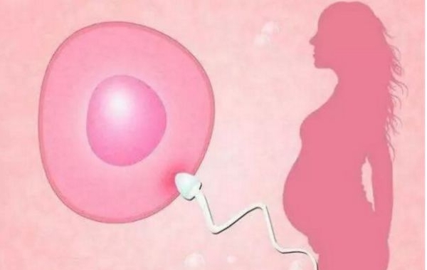 輸卵管堵塞還可以排卵嗎 輸卵管堵塞的癥狀