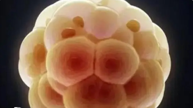 長(zhǎng)沙做試管嬰兒的費(fèi)用能不能報(bào)銷？