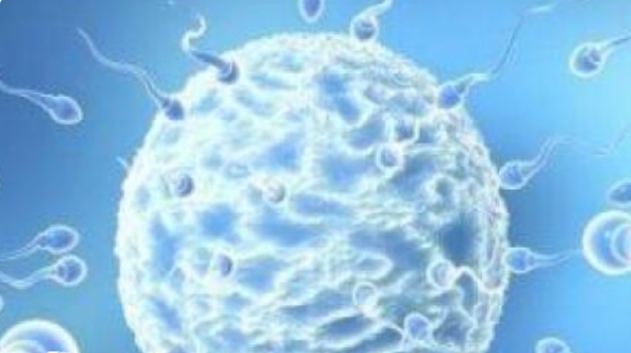 青島做試管嬰兒費(fèi)用有哪些影響因素？