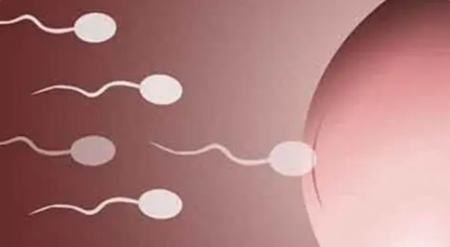 贛州找私立醫(yī)院做試管嬰兒費(fèi)用怎么算的？