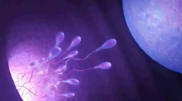 40歲高齡做試管嬰兒費(fèi)用一般多少錢？