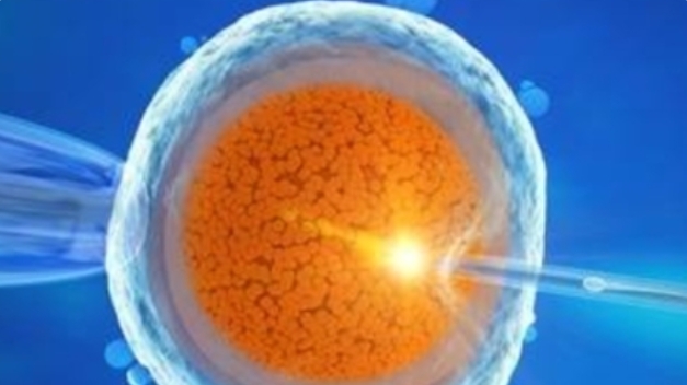 高齡做試管嬰兒為什么成功率一般都比較低呢？