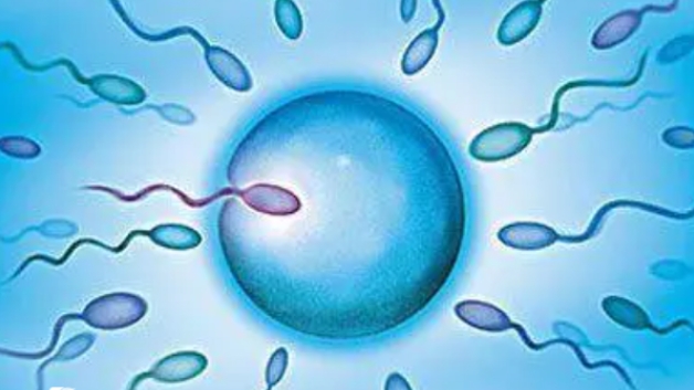 高齡做試管嬰兒需要做好哪些地方的準備？