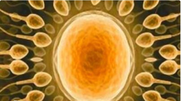 高齡去泰國做試管嬰兒多少錢一次？