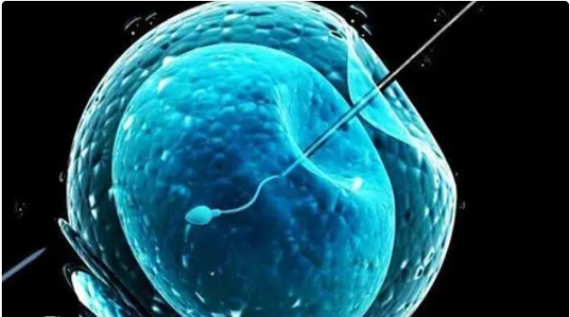 高齡做試管嬰兒一定要進(jìn)行羊穿手術(shù)嗎？