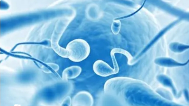 高齡做三代試管嬰兒怎么能提高成功率呢？