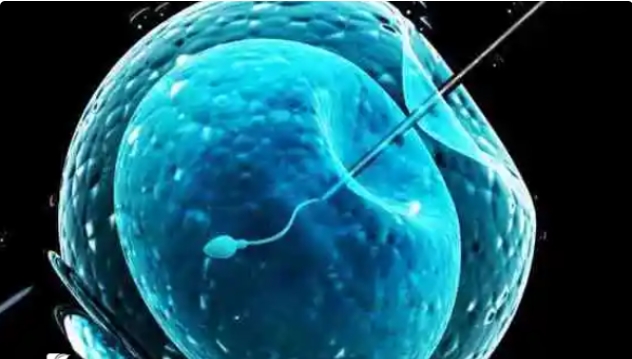 40歲高齡女性去做試管嬰兒的成功率還能有多少？