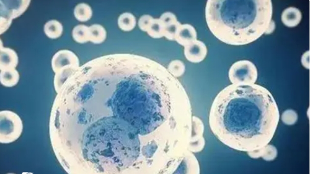 貴州有多少能做試管嬰兒的私立醫(yī)院？