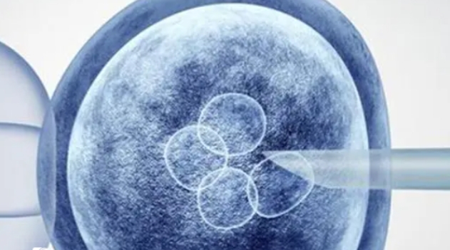 遼寧試管私立醫(yī)院有哪幾家比較好？