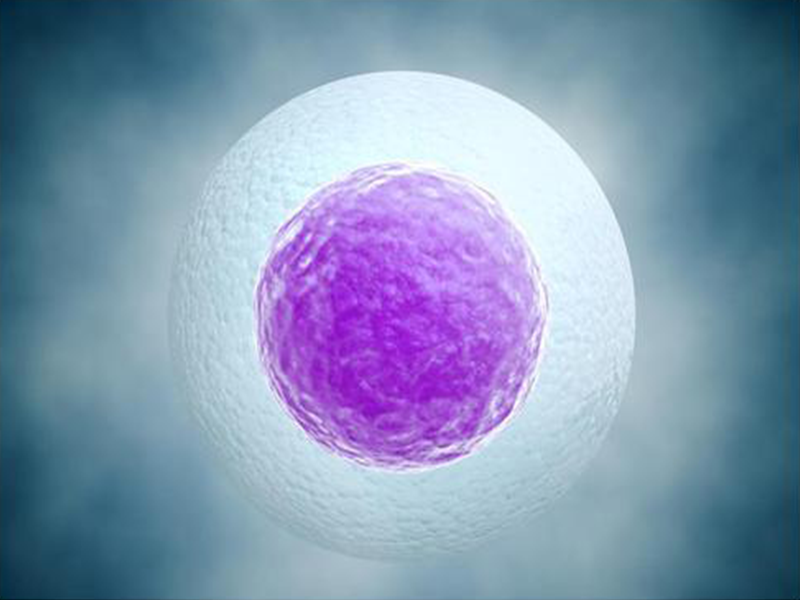 查看俄羅斯官方信息