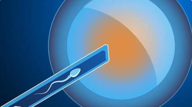 高齡做試管嬰兒怎么選擇醫(yī)院比較靠譜？