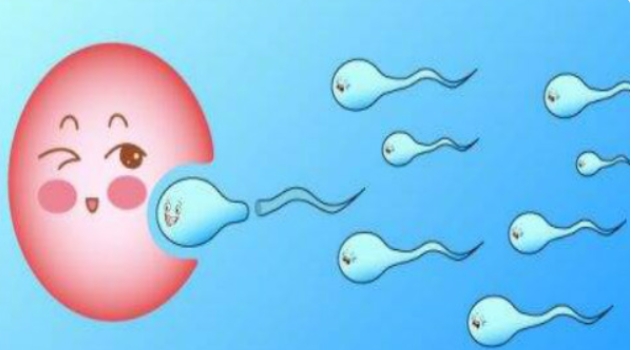 高齡做三代試管嬰兒可不可以？有多大的風(fēng)險(xiǎn)？